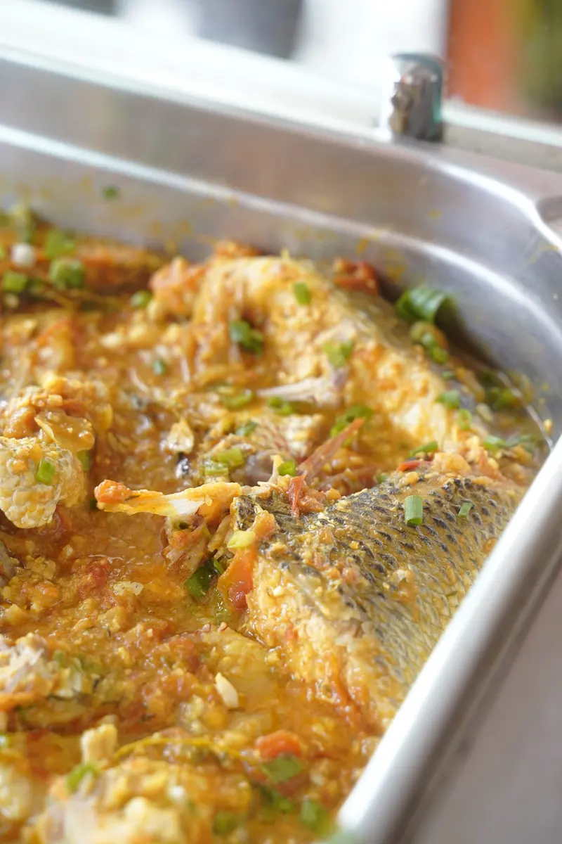 Un poisson en sauce dans son bac